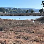Cabana En Sector Aquelarre, Lago Vichuquen
